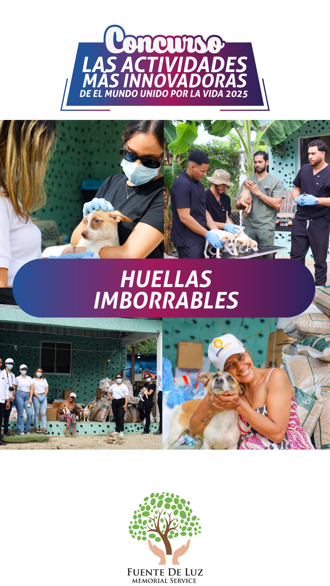 rdo-fuente-de-luz-st