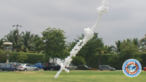 Liberación-Parque de la Paz. Ecuador