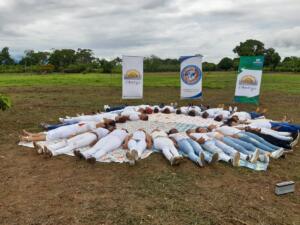 2019-colombia-san-nicolas (34)