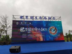 2020-china-FSY-Naanshang (8)