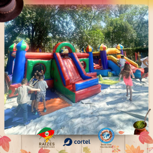 Br-Cortel (1)
