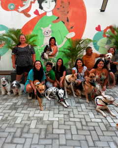 Br_Empresa Vila - VilaPet Convida 2025 (4)