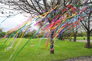 ar_jardin-del-pilar-2025 (21)