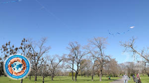 JARDÍN DEL PILAR S.A.