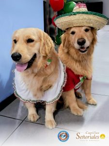 mx_capillas señoriales_2025 (2)