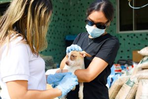 rdo_fuente de luz (2)