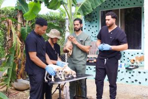 rdo_fuente de luz (4)